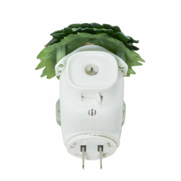 SPRING Wreath Plug - Picture 4 of 4